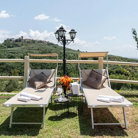 - Collina Toscana *