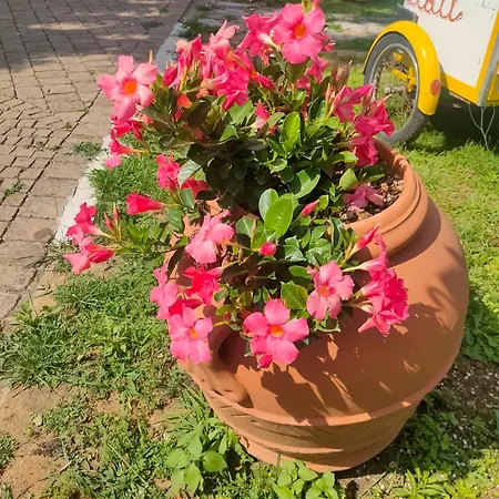 - Collina Toscana Monsummano Terme