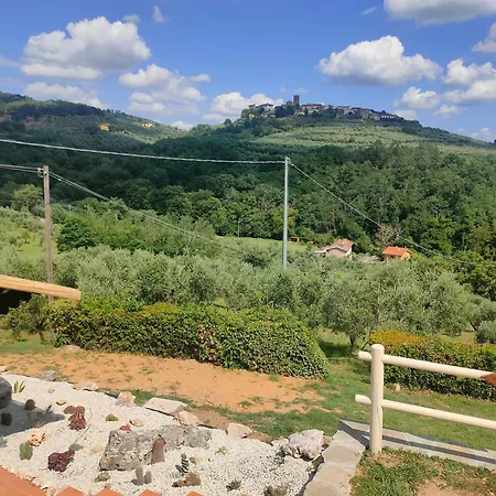 - Collina Toscana