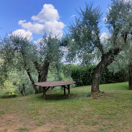 Séjour à la ferme - Collina Toscana