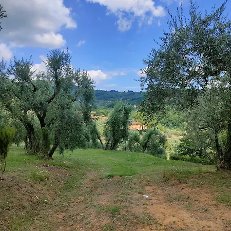 Farm stay - Collina Toscana